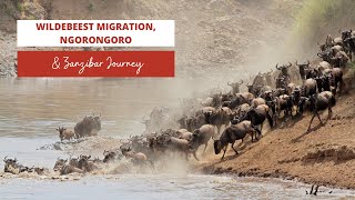 Wildebeest Migration, Ngorongoro \& Zanzibar Island Tour