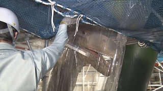 太陽の塔“輝き”磨く 耐震補強工事を公開