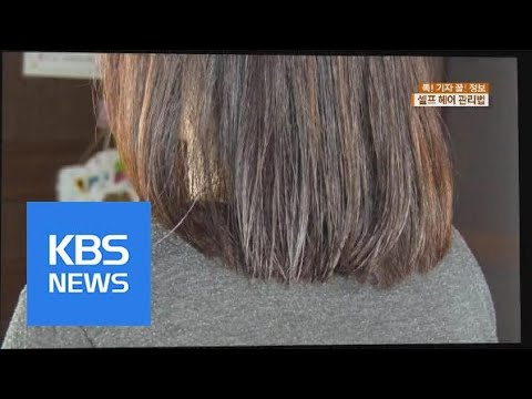 [똑! 기자 꿀! 정보] “내 머릿결은 내가 만든다”…셀프 헤어 관리법 | KBS뉴스 | KBS NEWS