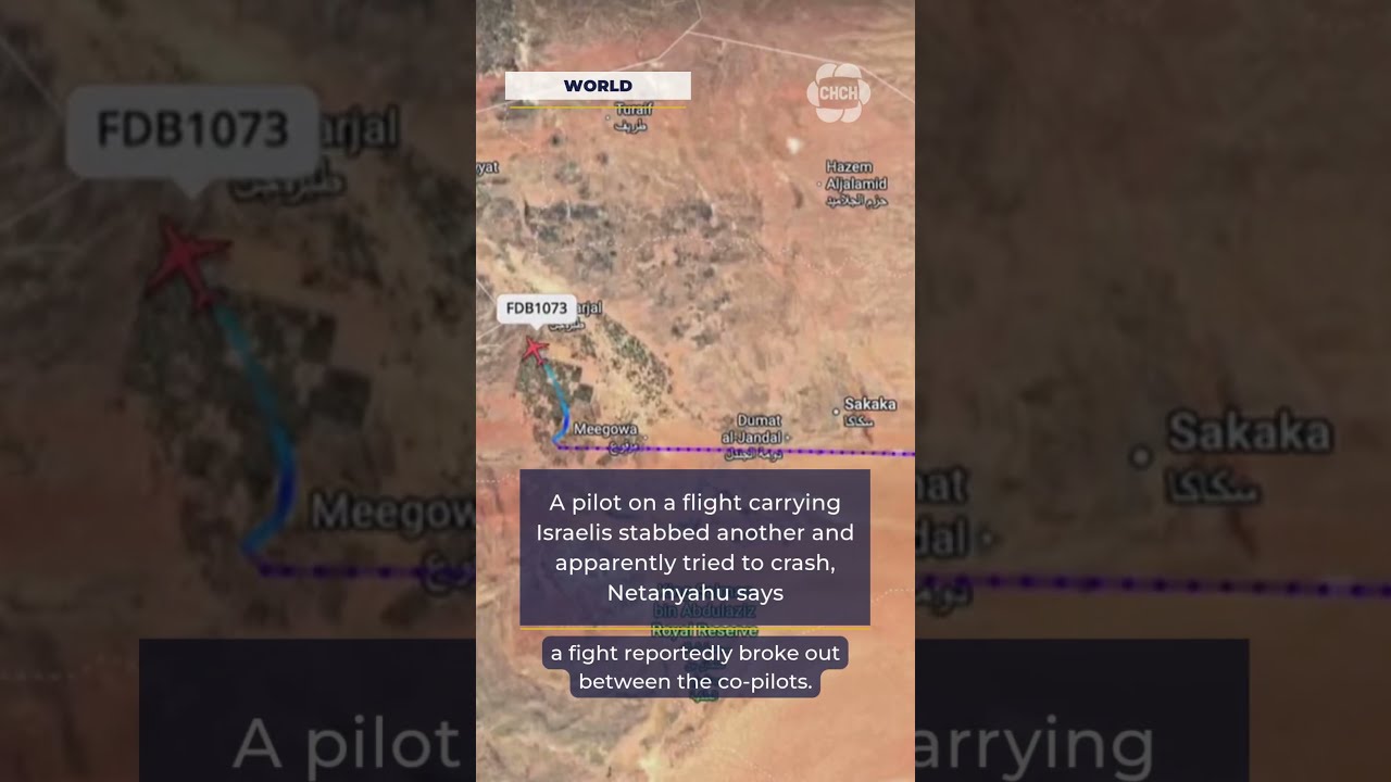 A pilot on a flight carrying Israelis stabbed another and apparently tried to crash, Netanyahu says
