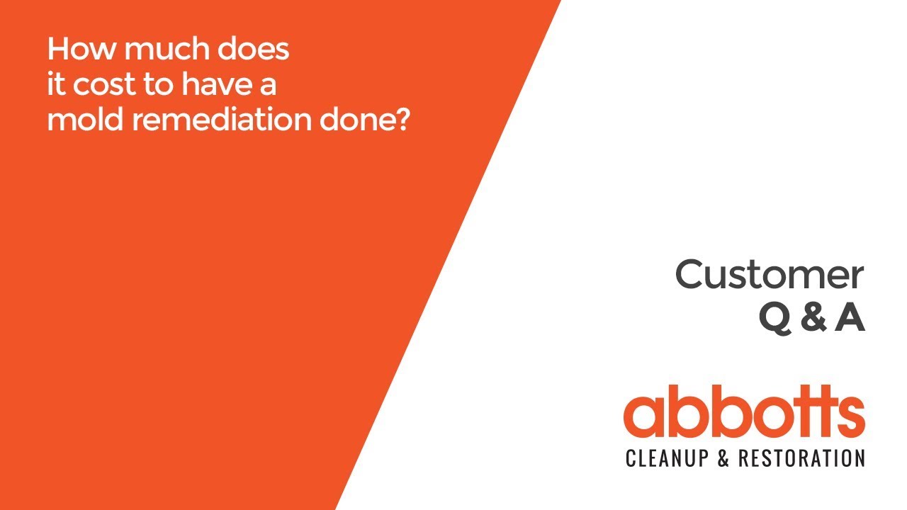 How much does it cost to have mold remediation done?