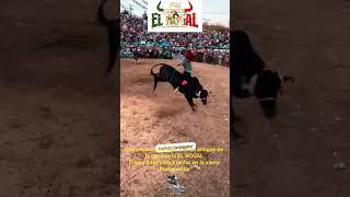 RANCHO EL NOGAL los mejores toros para las jugadas en la Sierra Puhepecha