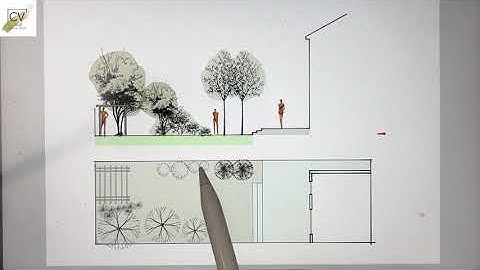 Morpholio Trace: Creating Fast, Clear Garden Elevations