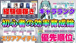 今からでも間に合う？初心者の効率的な育成論【プロセカ 初音ミク】