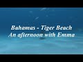 Tiger Beach, Bahamas - An afternoon with Emma