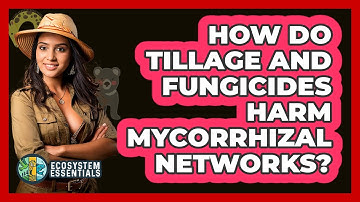 How Do Tillage And Fungicides Harm Mycorrhizal Networks? - Ecosystem Essentials