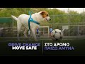 Drive Change, Move Safe: Στο δρόμο παίζω άμυνα