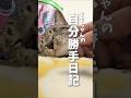 自分勝手な子猫と先輩猫の苦悩 #子ネコ #保護猫