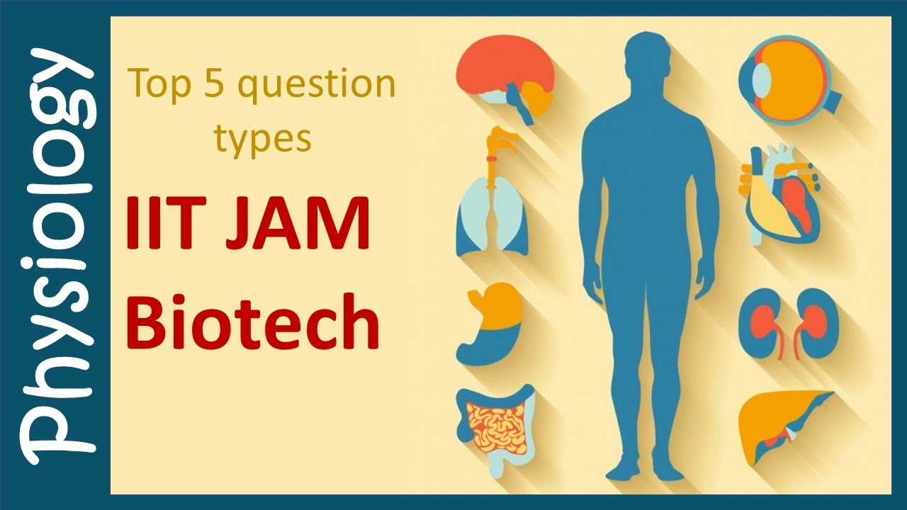 TOP 5 question tyeps  from  Physiology in IIT JAM BT