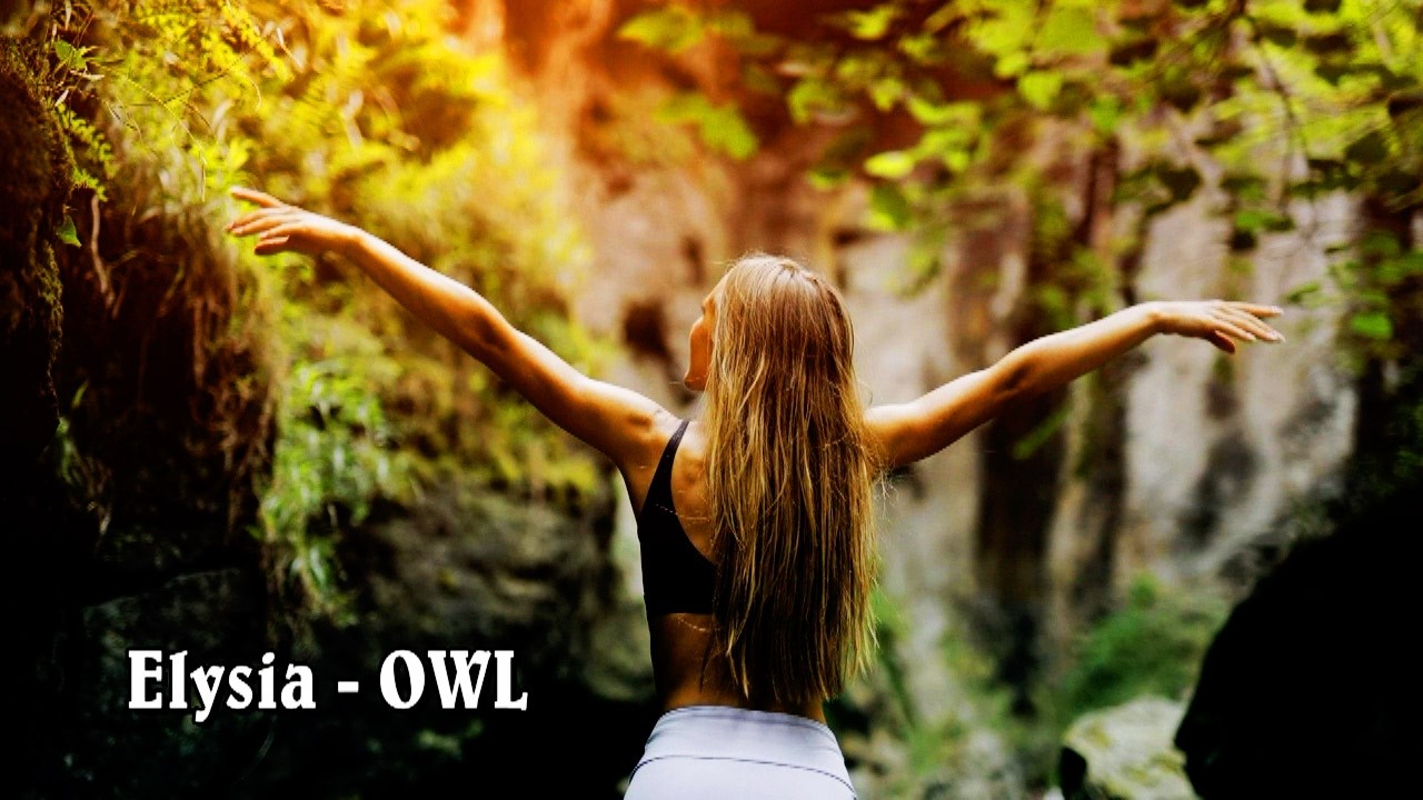 OWL - Elysia (Trance/Rock)