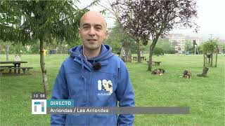 Entrevista a Ramón García Fondón, presidente de la Asociación Asturiana de Mastines