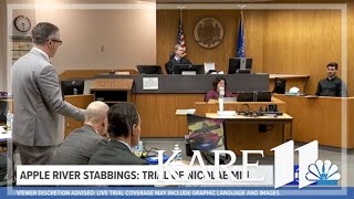 WATCH LIVE: Apple River stabbing: Nicolae Miu trial day 3 (morning session)