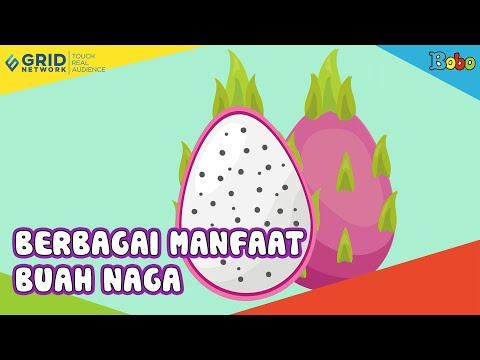 Berbagai Manfaat Buah Naga - Fakta Menarik