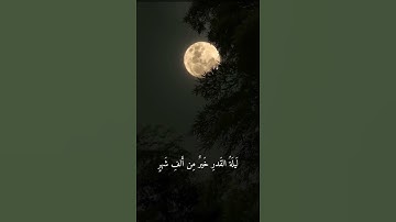 سورة القدر | بدر بن محمد التركي