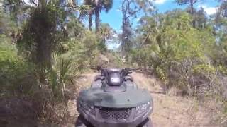Chasing a Suzuki 400 on the Alterra 300