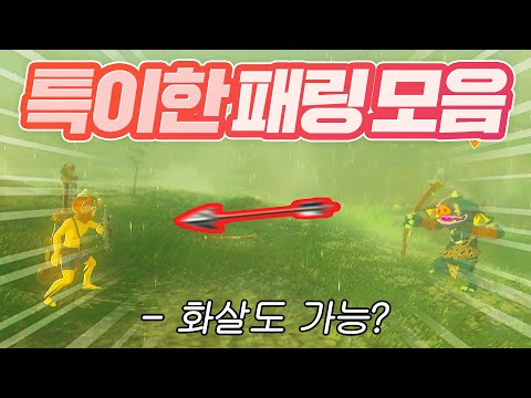 별게 다 패링이 되는 야숨의 세계 (젤다의 전설 야생의 숨결)