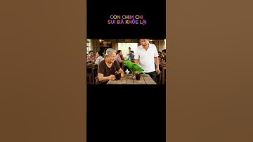 Con vẹt chị sui biết nói #funny #funnyshorts