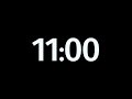 11 minute timer ⏱️ Stopwatch