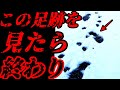 【危険】初雪の山に登山に行ったら"●●"に遭遇した【絶対に行くな】