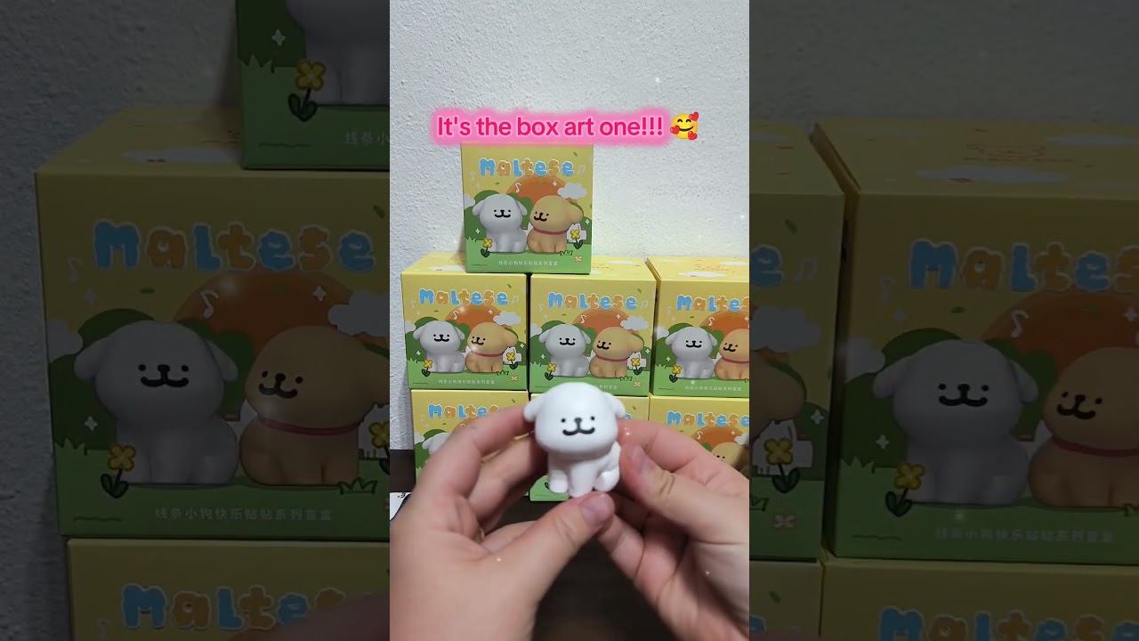 Opening a random Maltese blindbox figure 💖✨ 