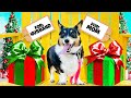 I Let My DOG Decide What I BUY for CHRISTMAS!🎄