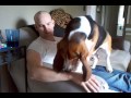 Basset Hound Tantrum