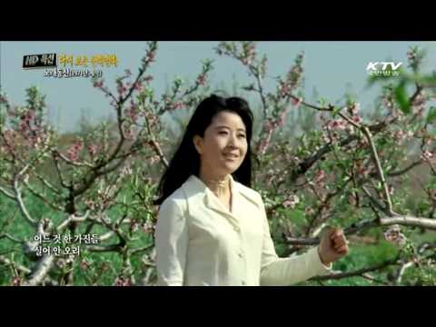 [추억의 가수] 젊은 시절 박재란이 부르는 '산넘어 남촌에는'