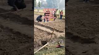 sowing of linseed#practicalday#bhu#agriculture #sowing #shorts