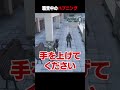 【#ストグラ】職質中のハプニング【犬上リオ/ストグラ切り抜き】
