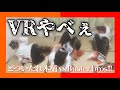 【ヒプマイ】VRな推し浴びてオタク大暴れ🔥🔥【2ndDRB】