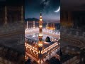 mera dil trap raha hai 🥹#shortsfeed #shorts #islamicstatus #islam #new#makka#love #viral #reels