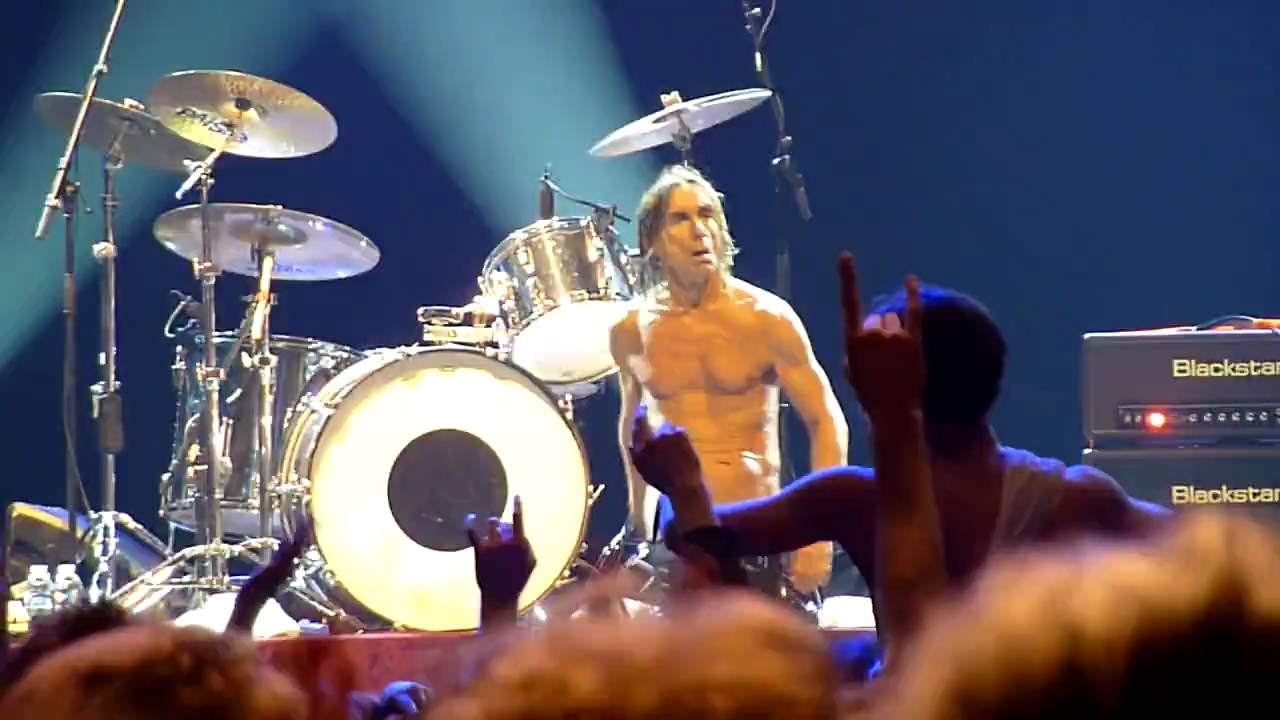 Iggy Pop & the Stooges I Wanna Be Your Dog