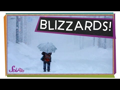 Video: Waarom is sneeuwstorm gevaarlijk?