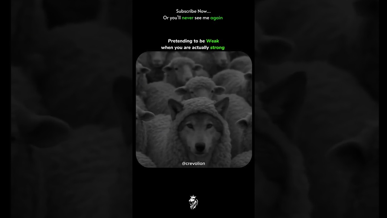 Never Underestimate the Quiet Ones | 