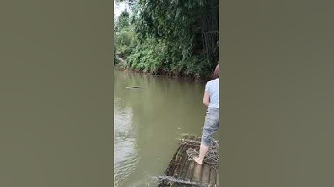 Non Xanh nước biếc