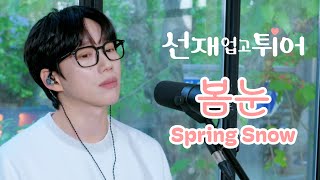 10CM / 십센치 - 선재 업고 튀어 OST '봄 눈 / Spring Snow' Resimi