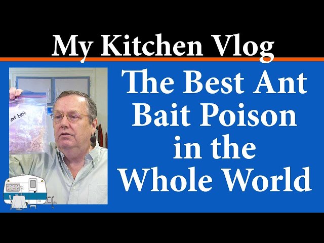 The best ant bait poison packet in the world class=