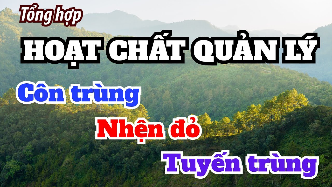 Tổng hợp hoạt chất phổ biến quản lý dịch hại | Nhện đỏ | Sâu miệng nhai |Nhóm chích hút |Tuyến trùng