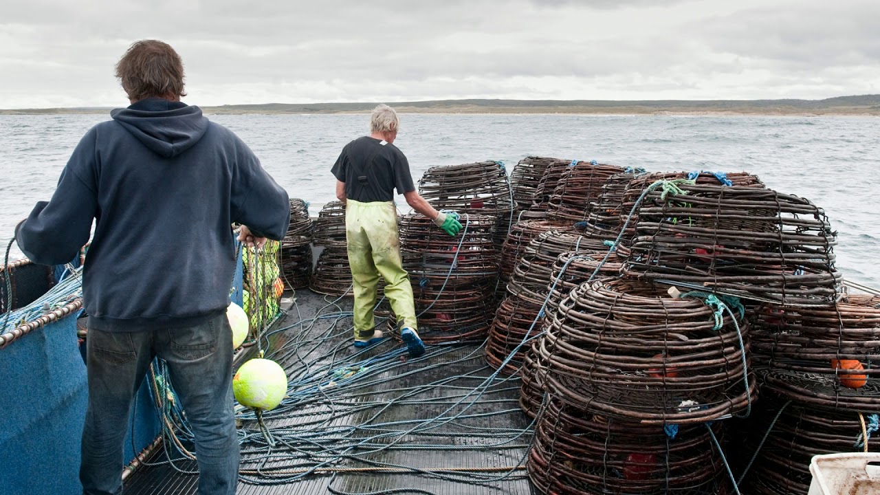 Couta Rocks rock lobster fishing Tasmania