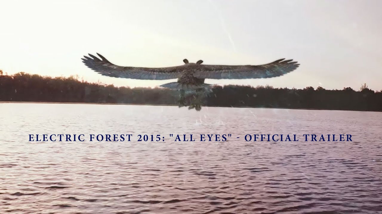 Electric Forest 2015: 