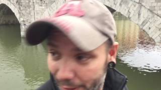 Zea Mays, Zaldibi 2017-02-11