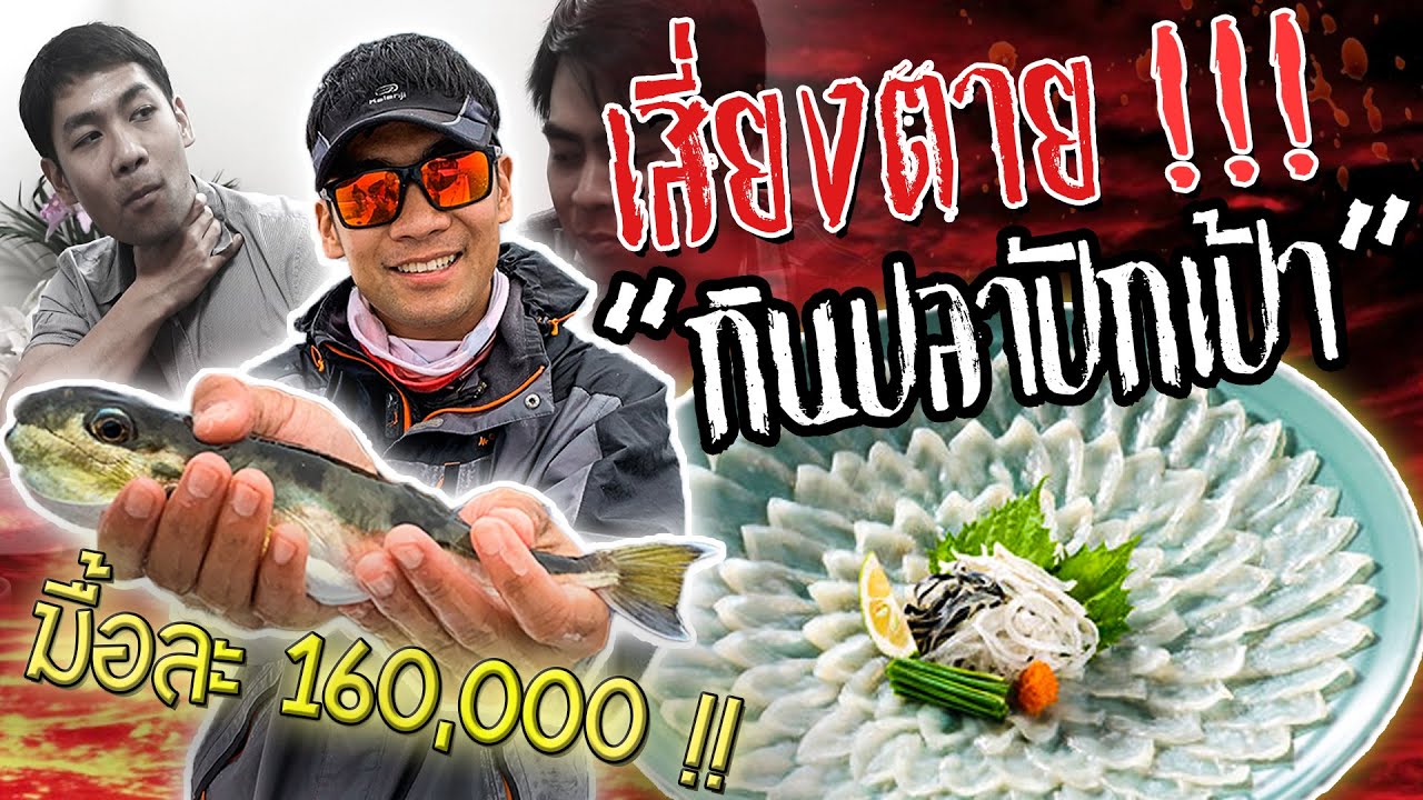 เสี่ยงตาย !! กินปลาปักเป้ามีพิษ ราคาหลักแสน !!! [คนหลงรส] EP.14