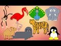 Zoo animals 