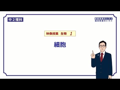 【中２　理科　生物】　動物と植物の細胞の違い　（２３分）