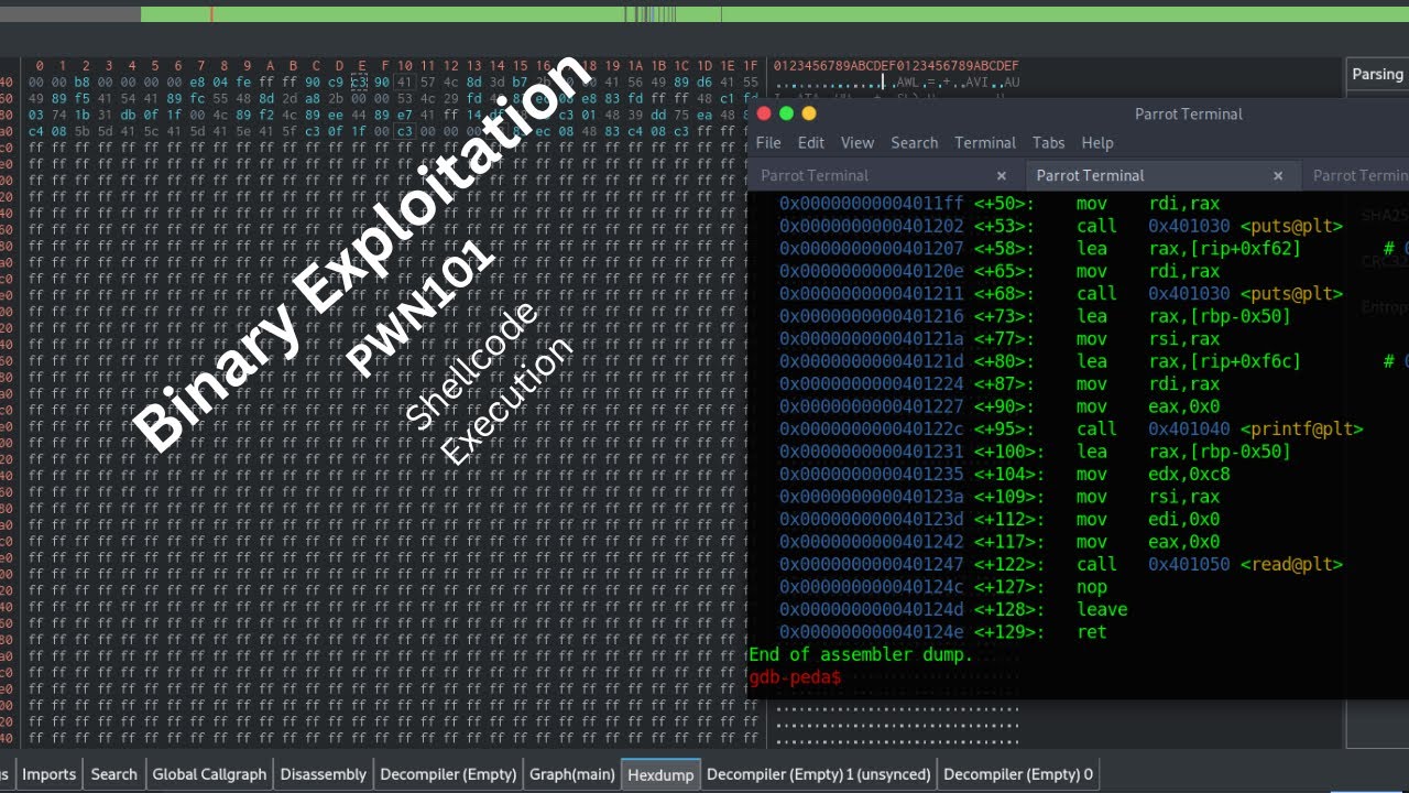PWN101: level 4 | Shellcode execution (Türkçe) - YouTube