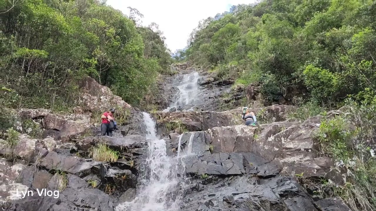 Flying Phoenix and Dragon Stream Guide