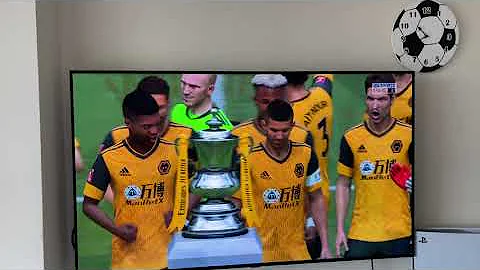 Wolves lift the FA cup