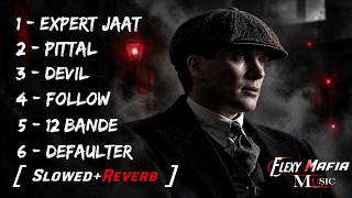 Top Attitude Gangster Mafia | Expert Jaat 💀🔥 Devil | 12 Bande | Slowed + Reverb | Flexy Mafia Music 