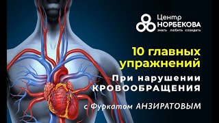 Открытый вебинар 10 главных упражнений при нарушении кровообращения с доктором Фуркатом Анзиратовым
