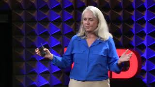 Go to umpire school | Perry Barber